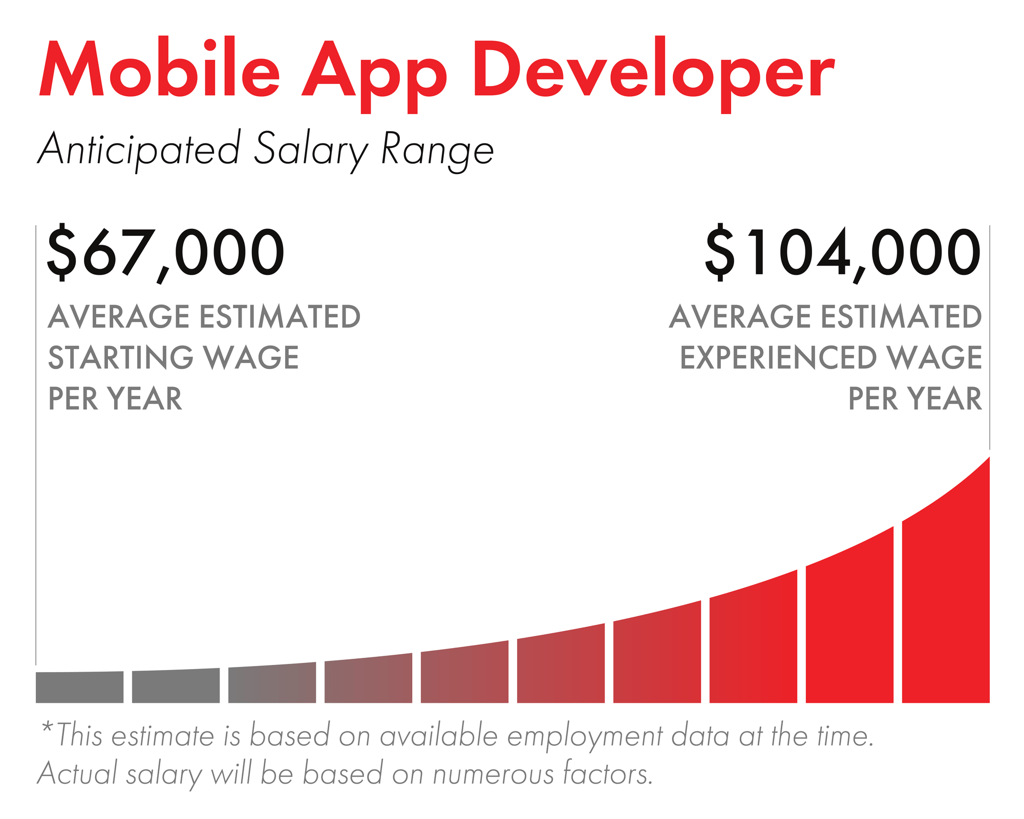 Mobile App Developer